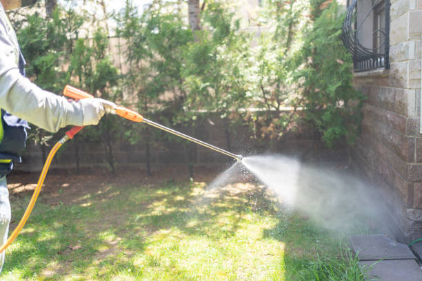 Lawn Pest Control in Dubois, PA